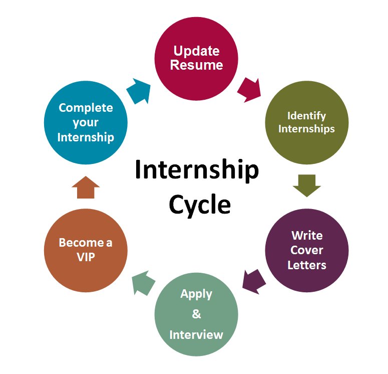 internship cycle